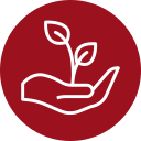 Sustainable growth icon